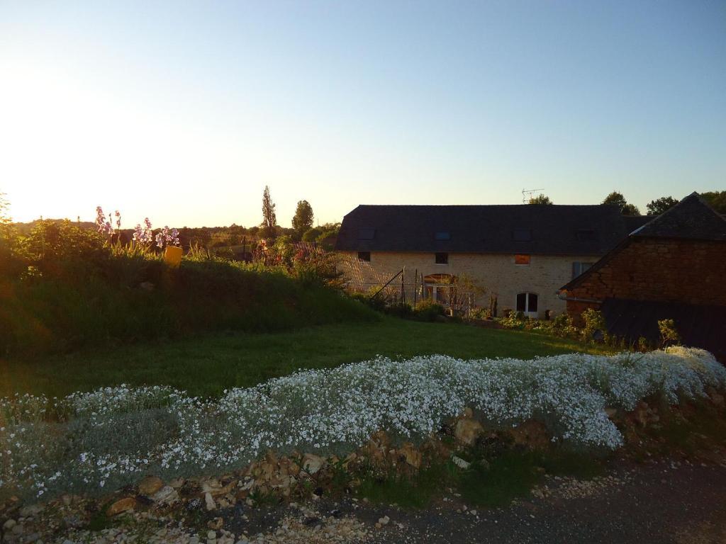 Maison D'Hotes La Maison De Leopold Terrasson Eksteriør bilde