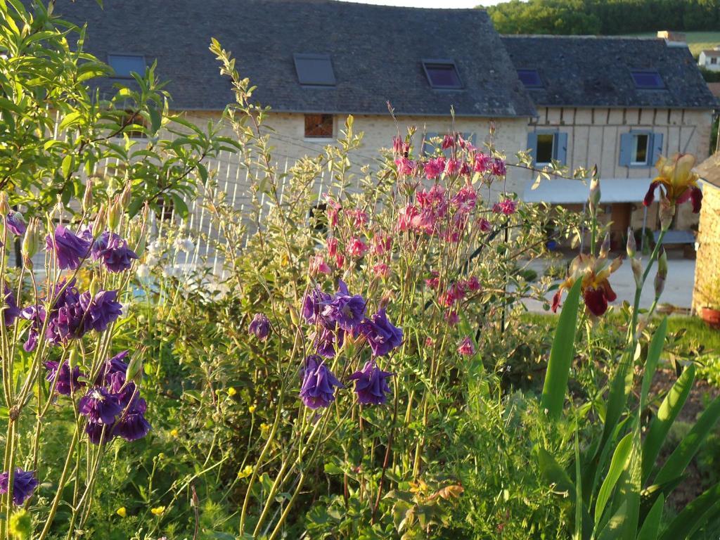 Maison D'Hotes La Maison De Leopold Terrasson Eksteriør bilde